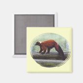 Niedlicher Red Ruffed Lemur Red Fur White Neck Magnet (Vorderseite/Rückseite)