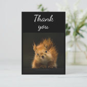 Niedlicher Red Squirrel Animal Spaß Vielen Dank Dankeskarte (Stehend Vorderseite)