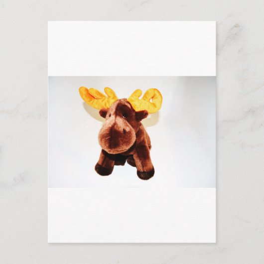 NIEDLICHER REINDEER POSTKARTE (Vorderseite)