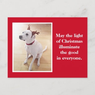 Niedlicher Rentier Welpenhund Weihnachten Postkarte