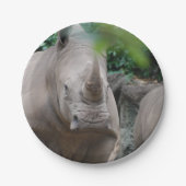 Niedlicher Rhino Pappteller (Vorderseite)