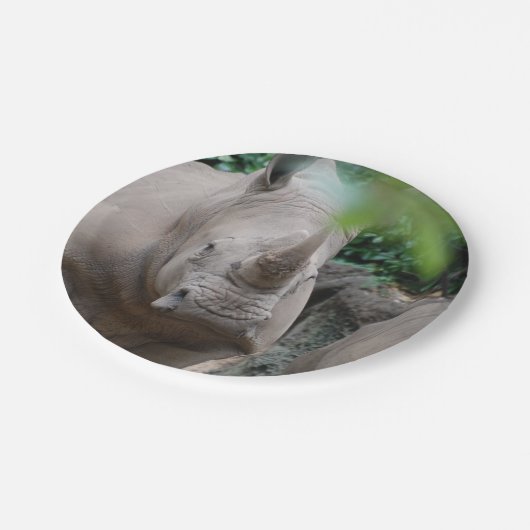 Niedlicher Rhino Pappteller (Schrägansicht)