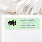 Niedlicher Rhinozerokerkäfer Cartoon (Insitu)