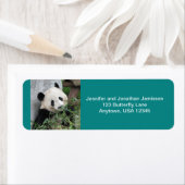 Niedlicher Riesenbär, Türkis, Rücksendeadresse (Insitu)