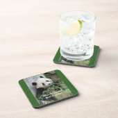 Niedlicher Riesenpanda, bester Lehrer, grün, Set v Getränkeuntersetzer (Rechte Seite)