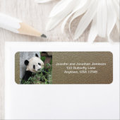 Niedlicher Riesenpanda, Imitate Chrome Rücksendead (Insitu)