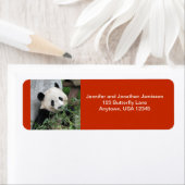 Niedlicher Riesenpanda, orange Rücksendeadresse (Insitu)