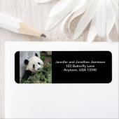 Niedlicher Riesenpanda, schwarze Rücksendeadressen (Insitu)