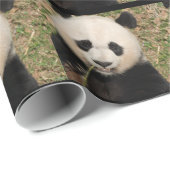 Niedlicher riesiger Panda-Bär Geschenkpapier (Rolleneckpunkt)