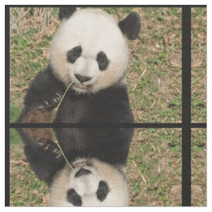Niedlicher riesiger Panda-Bär Stoff