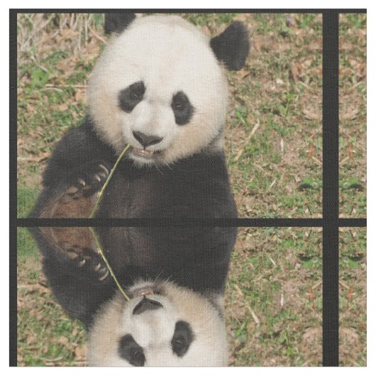 Niedlicher riesiger Panda-Bär Stoff (Nahaufnahme)