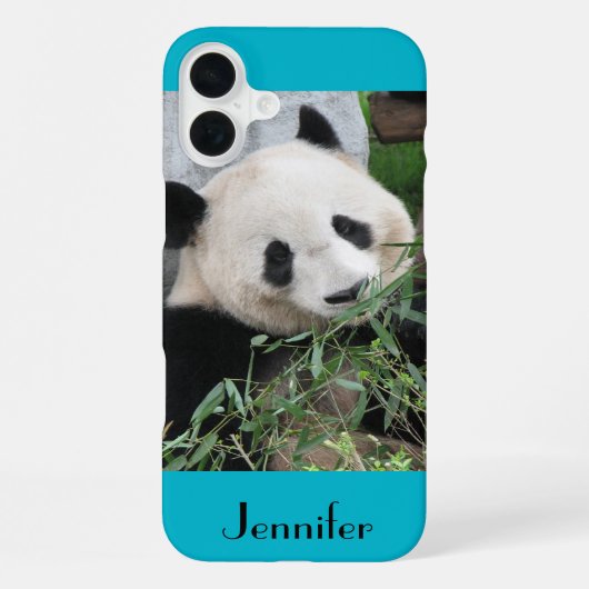 Niedlicher riesiger Panda, blauer Hintergrund, iPhone Hülle (Rückseite)