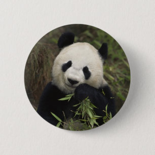 Niedlicher riesiger Panda Button