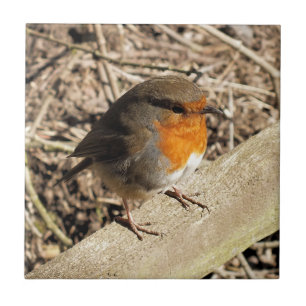 NIEDLICHER ROBIN FLIESE