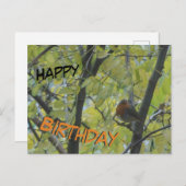 Niedlicher Robin in Tree Happy Birthday Postcard Postkarte (Vorne/Hinten)