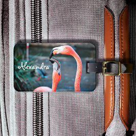 Niedlicher Rosa Flamingo-Foto individuelle Name Gepäckanhänger