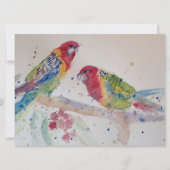 Niedlicher Rosella Parrot Vogel (Vorderseite)