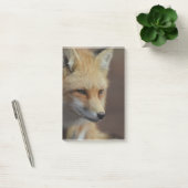 Niedlicher roter Fox Post-it Klebezettel (Büro)