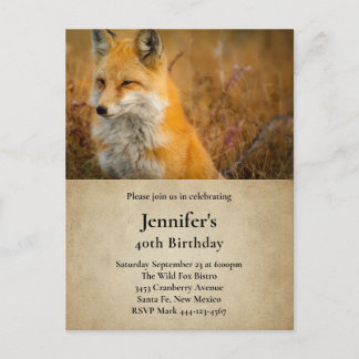 Niedlicher Roter Fuchs Wilderness Nature Foto Gebu Einladungspostkarte