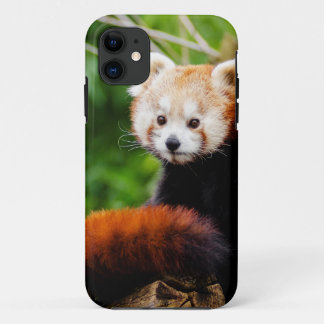 Niedlicher roter Panda-Bär Case-Mate iPhone Hülle