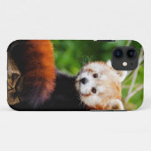Niedlicher roter Panda-Bär Case-Mate iPhone Hülle (Rückseite (Horizontal))
