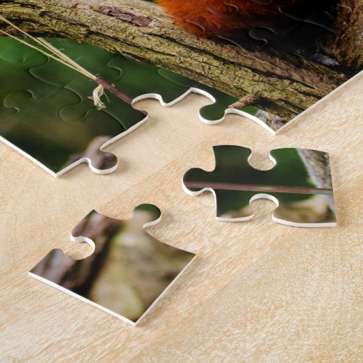 Niedlicher roter Panda-Bär Puzzle (Seite)
