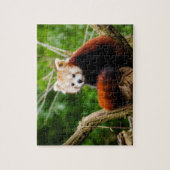 Niedlicher roter Panda-Bär Puzzle (Vertikal)