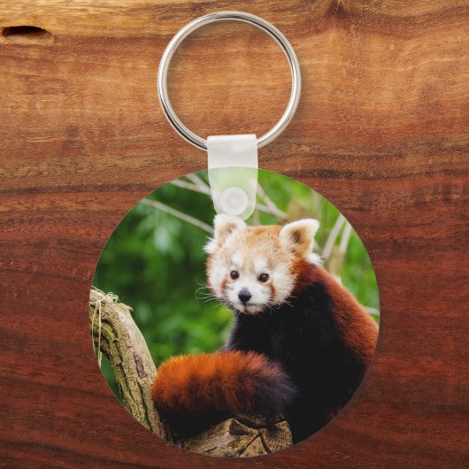 Niedlicher Roter Panda-Bär Schlüsselanhänger (Vorderseite)