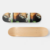 Niedlicher roter Panda-BärSkateboard Skateboard (Horizontal)