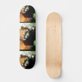 Niedlicher roter Panda-BärSkateboard Skateboard (Vorderseite)