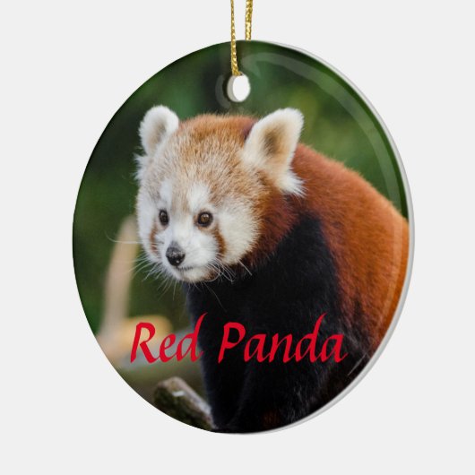 Niedlicher Roter Panda-Feuerfuchs Keramik Ornament (Links)