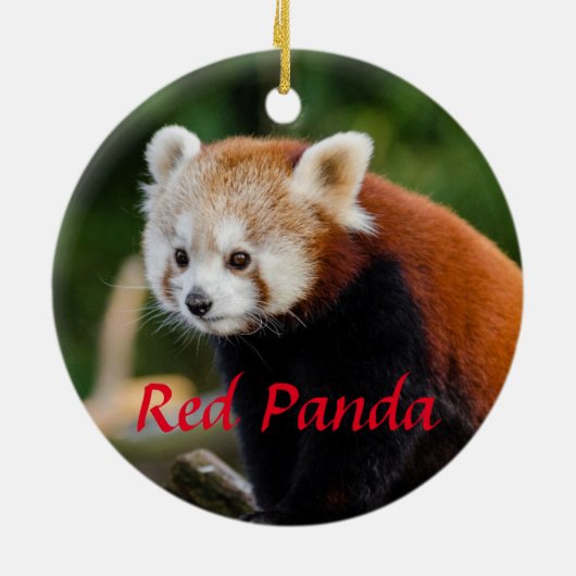 Niedlicher Roter Panda-Feuerfuchs Keramik Ornament (Hinten)
