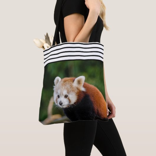 Niedlicher roter Panda gestreift Tasche (Von Nahem)