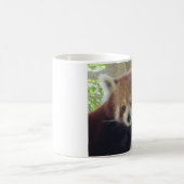 Niedlicher roter Panda Kaffeetasse (Mittel)