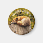 Niedlicher Rotfuchs auf Baumstumpf Magnet (Vorne)