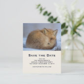 Niedlicher Rotfuchs das Foto Save the Date aufgeri Einladungspostkarte (Stehend Vorderseite)