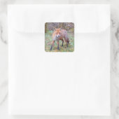 Niedlicher Rotfuchs Wald Wildtier Charakter Natur Quadratischer Aufkleber (Tasche)