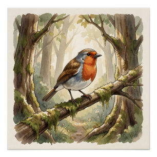 Niedlicher Rotkehlchenvogel im alten Wald Poster