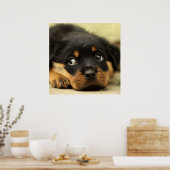 Niedlicher Rottweiler Poster (Küche)