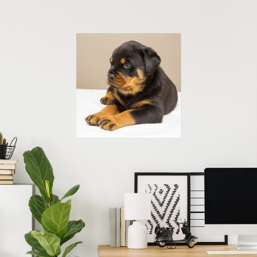 Niedlicher Rottweiler Poster (Heimbüro)