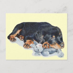niedlicher Rottweiler-Welpenhund, der Teddy-Bärenk Postkarte