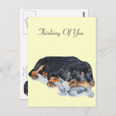 niedlicher Rottweiler-Welpenhund, der Teddy-Bärenk Postkarte (Vorne/Hinten)