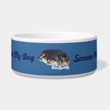 niedlicher Rottweiler-Welpenhund kuschelig-Teddybä