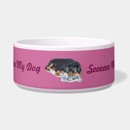 niedlicher rottweiler Welpenhundestreichelnteddy Napf