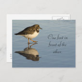 Niedlicher Sadpiper Bird Motivierend Postkarte (Vorne/Hinten)