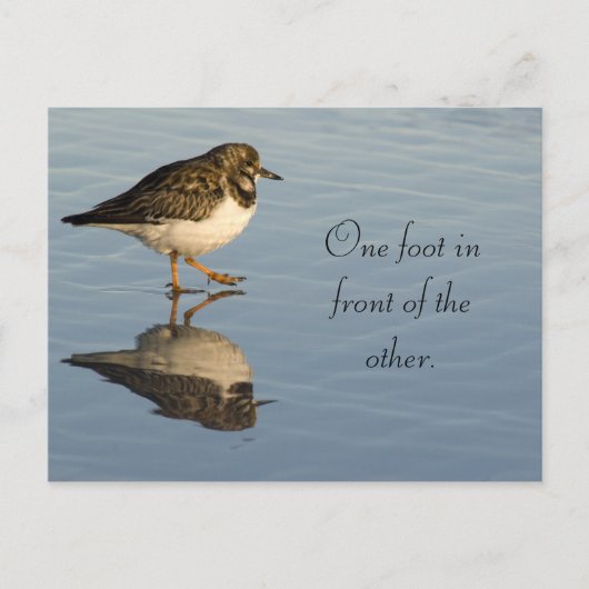 Niedlicher Sadpiper Bird Motivierend Postkarte (Vorderseite)