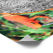 Niedlicher Salamander Personalisiert Erstellen Sie Poster (Ecke)