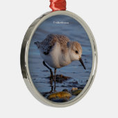 Niedlicher Sandpiper Wandern am Winter Beach Ornament Aus Metall (Rechts)