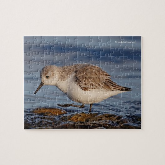Niedlicher Sandpiper Wandern am Winter Beach Puzzle (Horizontal)