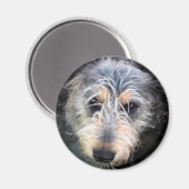 Niedlicher Schädelhund Magnet (Vorderseite/Rückseite)